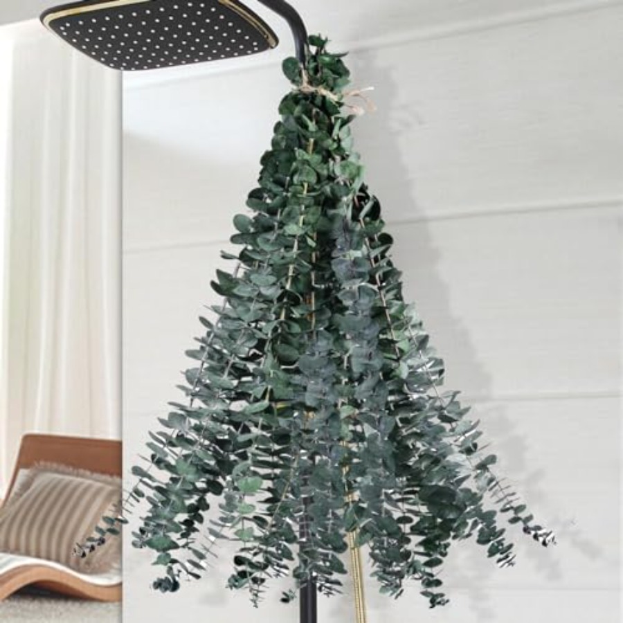 Dried Eucalyptus for Shower Ha - Eucalyptus Preserved recensione e prezzo