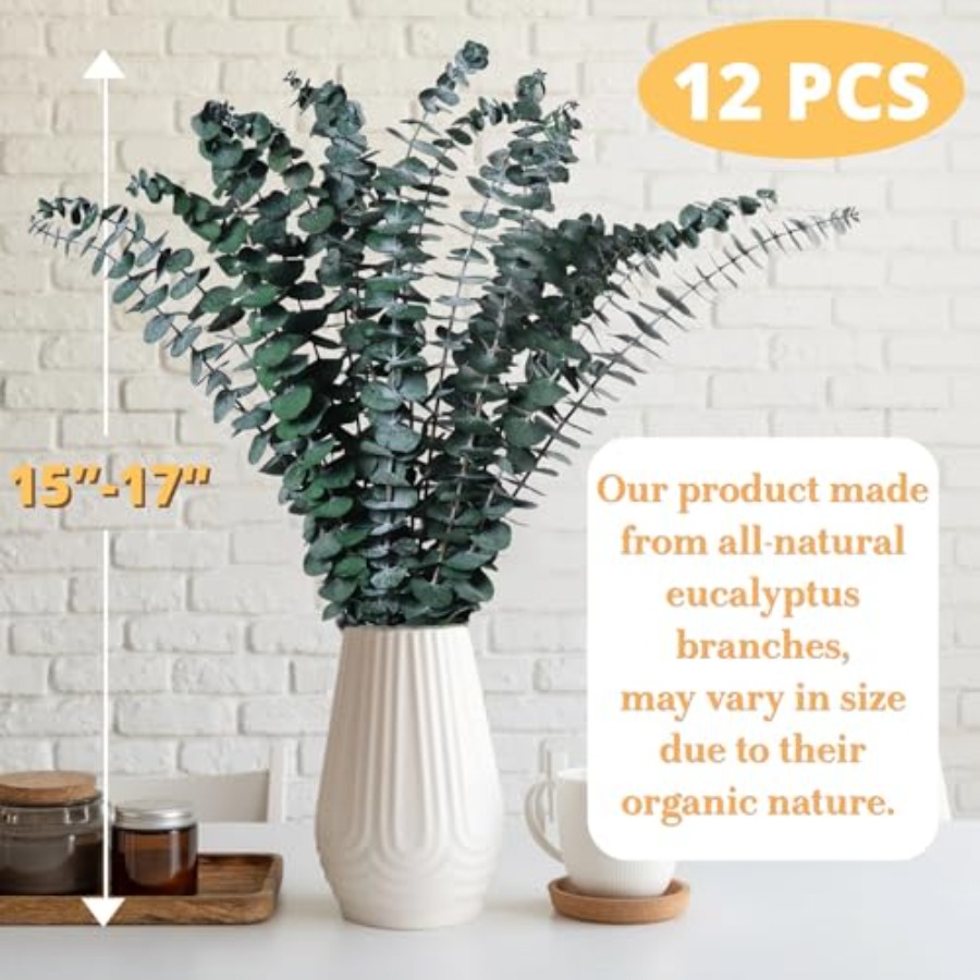 Dried Eucalyptus for Shower Ha - Eucalyptus Preserved recensione e prezzo