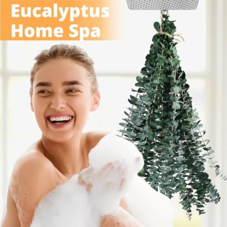 Dried Eucalyptus for Shower Ha - Eucalyptus Preserved recensione e prezzo