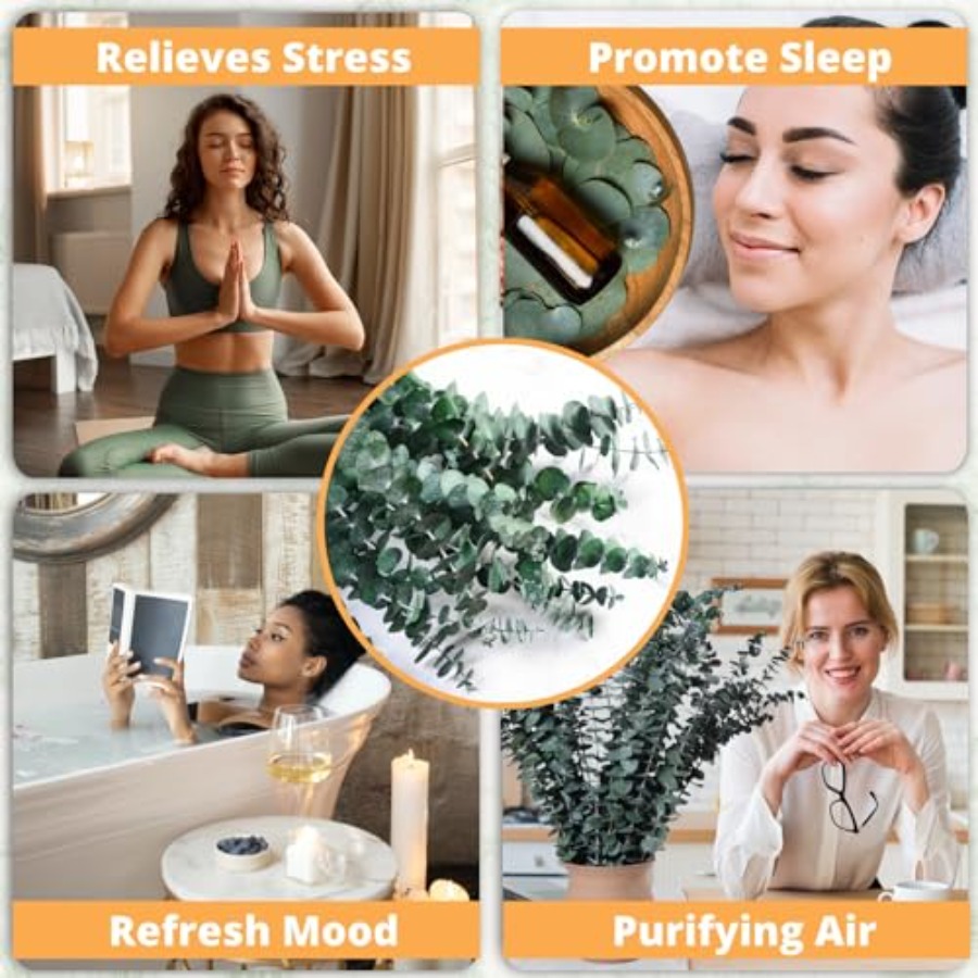 Dried Eucalyptus for Shower Ha - Eucalyptus Preserved recensione e prezzo