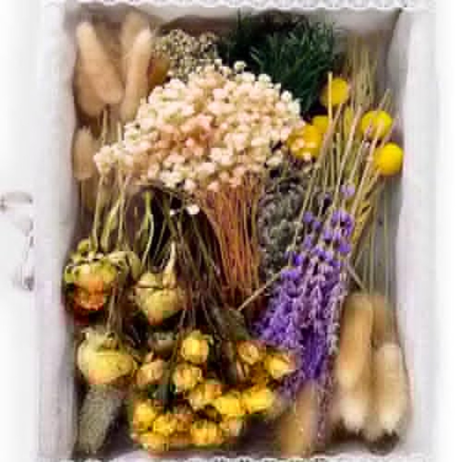 130Pcs DIY Mixed Natural Dried - Eucalyptus Preserved recensione e prezzo