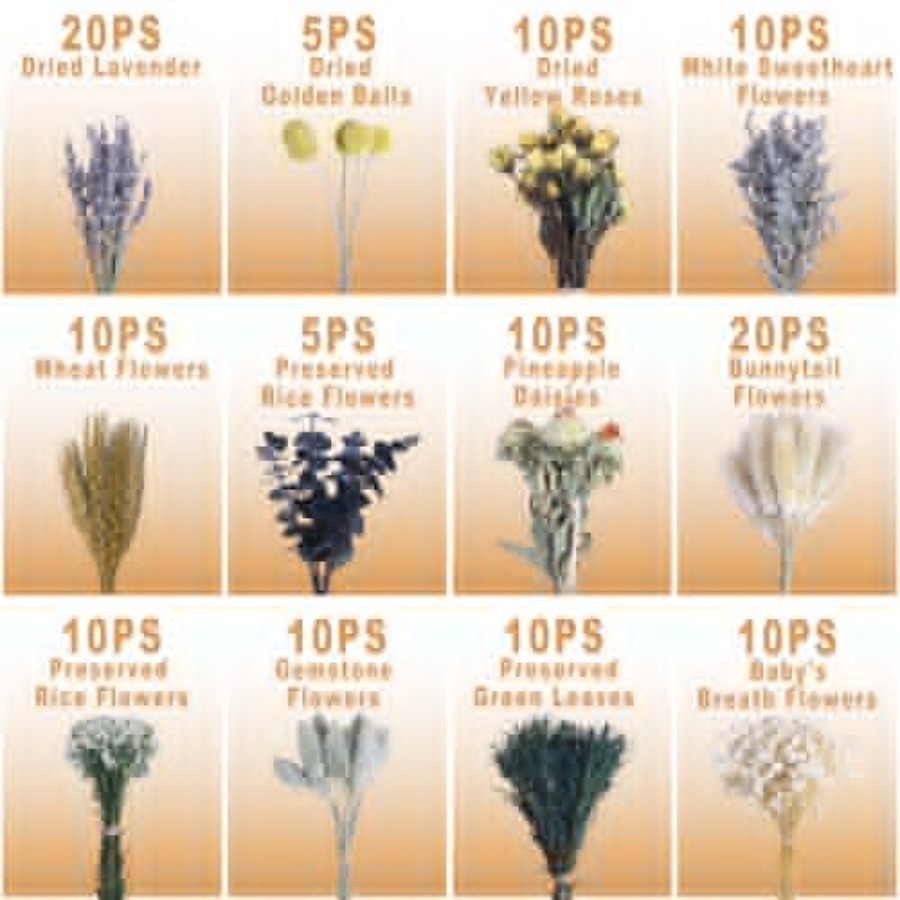 130Pcs DIY Mixed Natural Dried - Eucalyptus Preserved recensione e prezzo