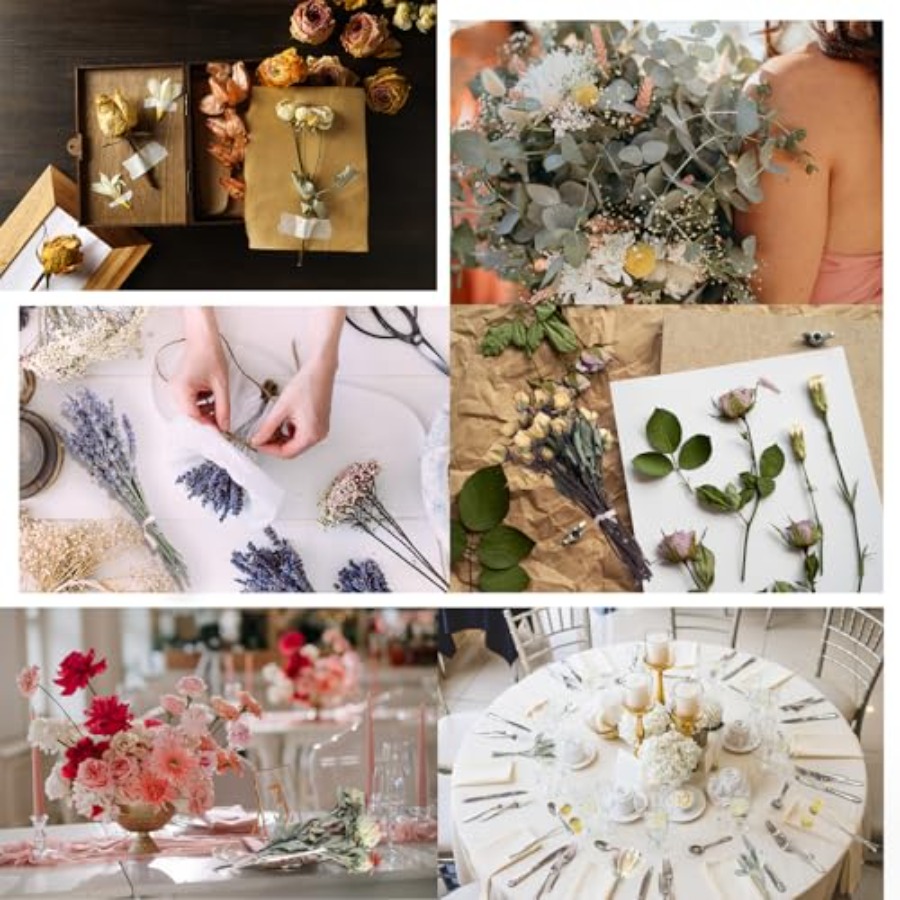 130Pcs DIY Mixed Natural Dried - Eucalyptus Preserved recensione e prezzo