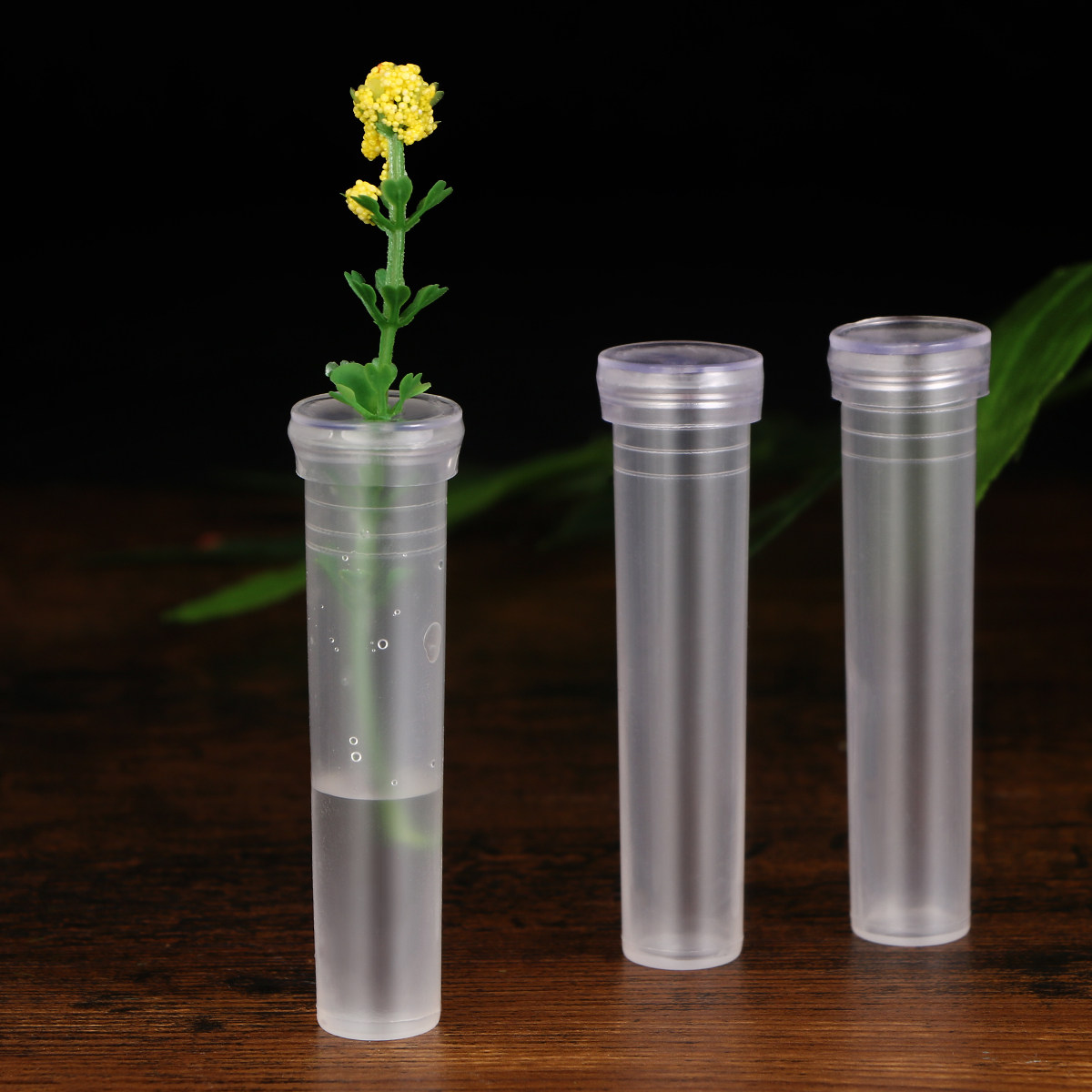 50Pcs Small Compact Flower Wat - Supply For Florist recensione e prezzo