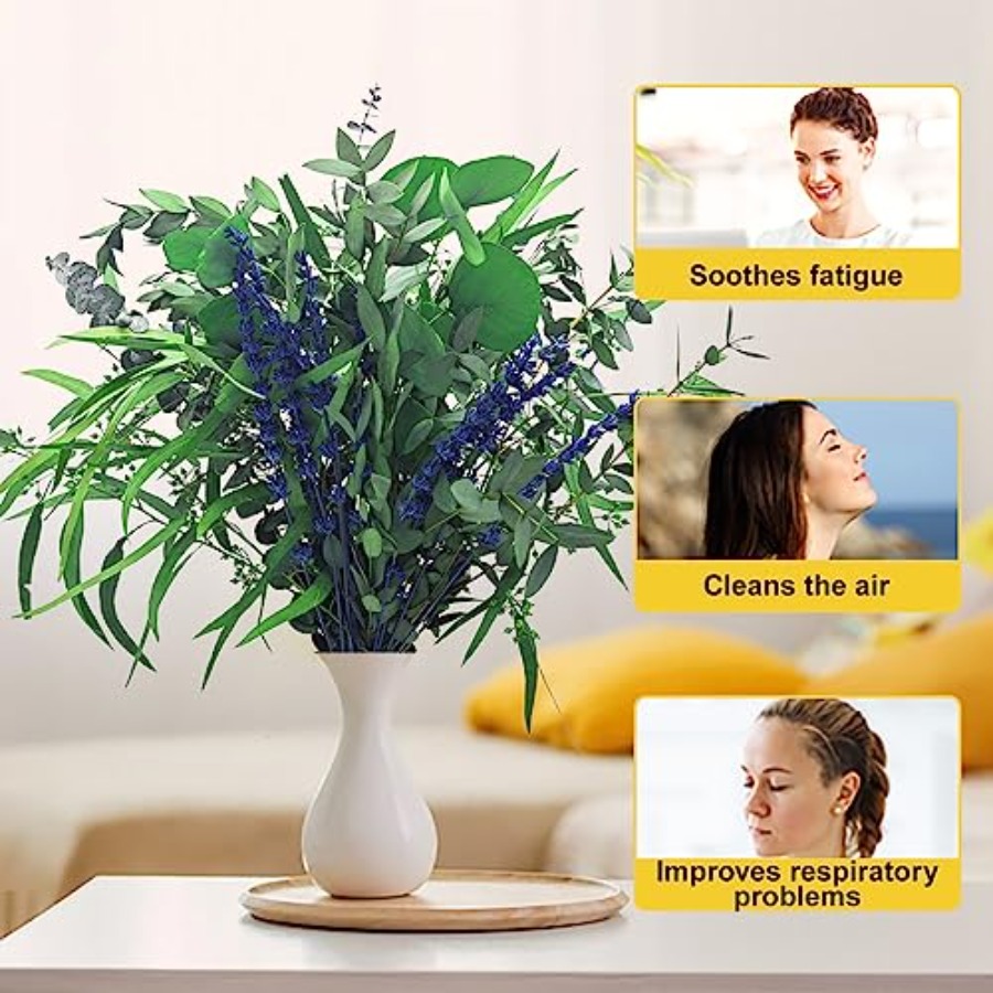 5 Kinds Mix Dried Eucalyptus a - Eucalyptus Preserved recensione e prezzo