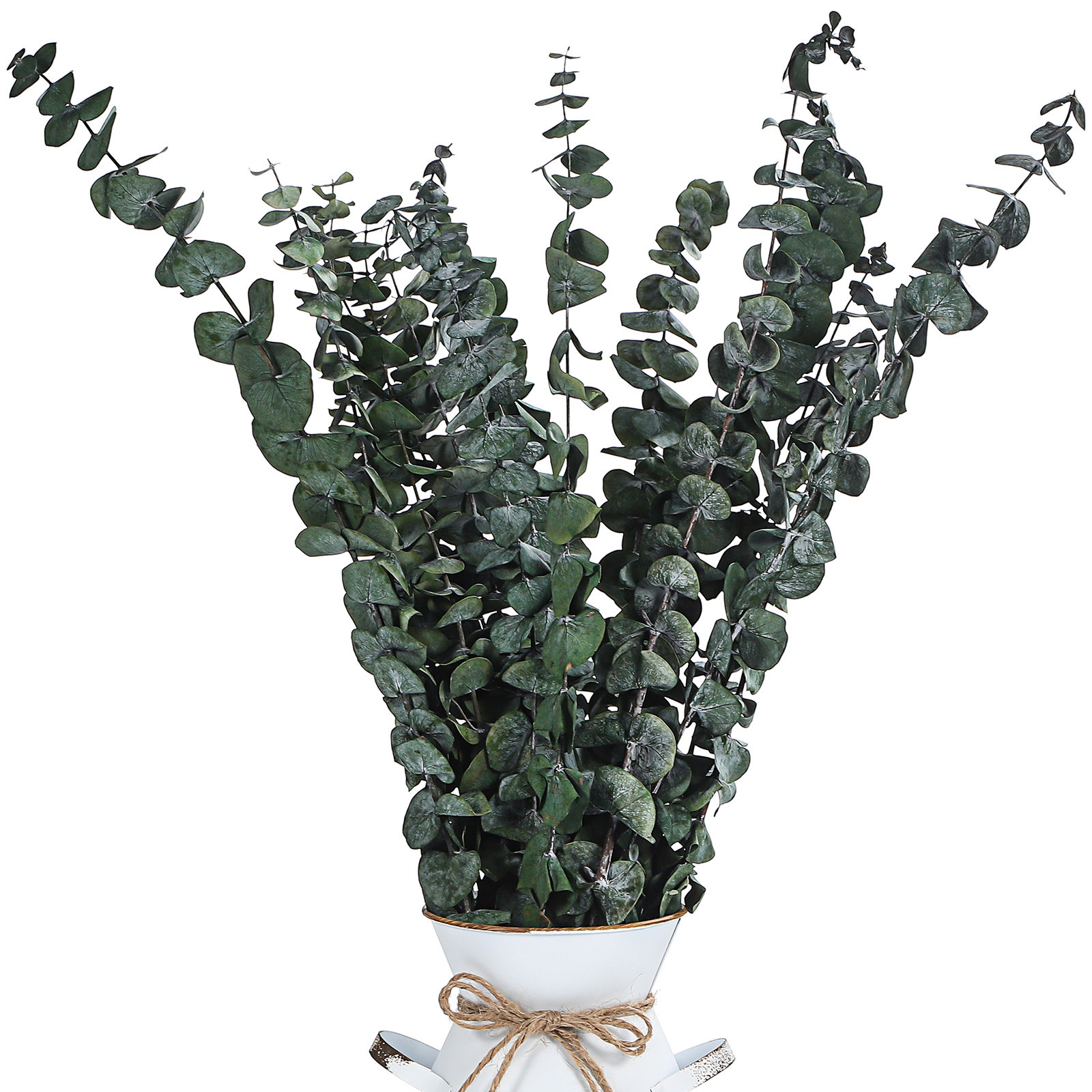 20 pcs Eucalyptus Leaves Dried - Eucalyptus Preserved recensione e prezzo