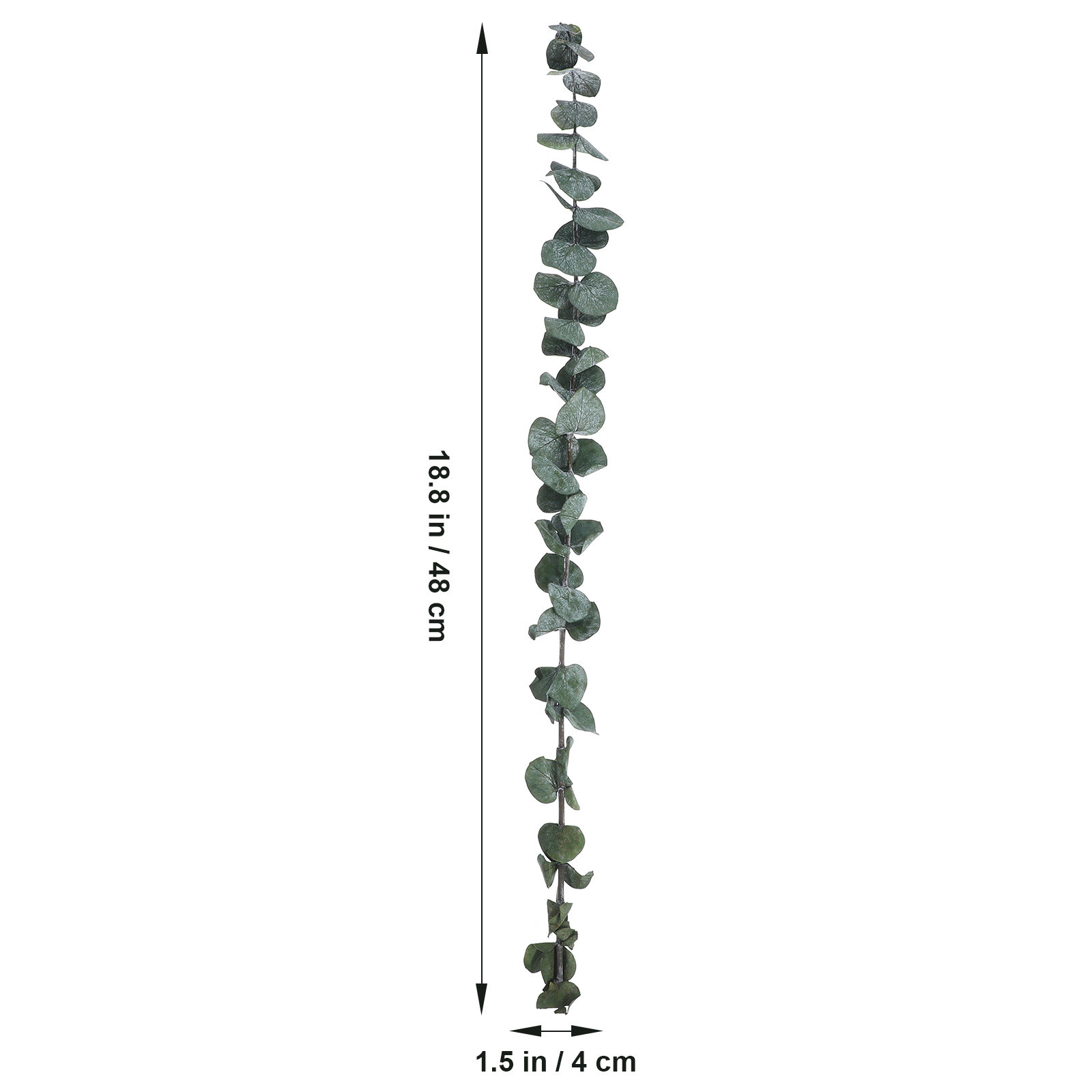 20 pcs Eucalyptus Leaves Dried - Eucalyptus Preserved recensione e prezzo