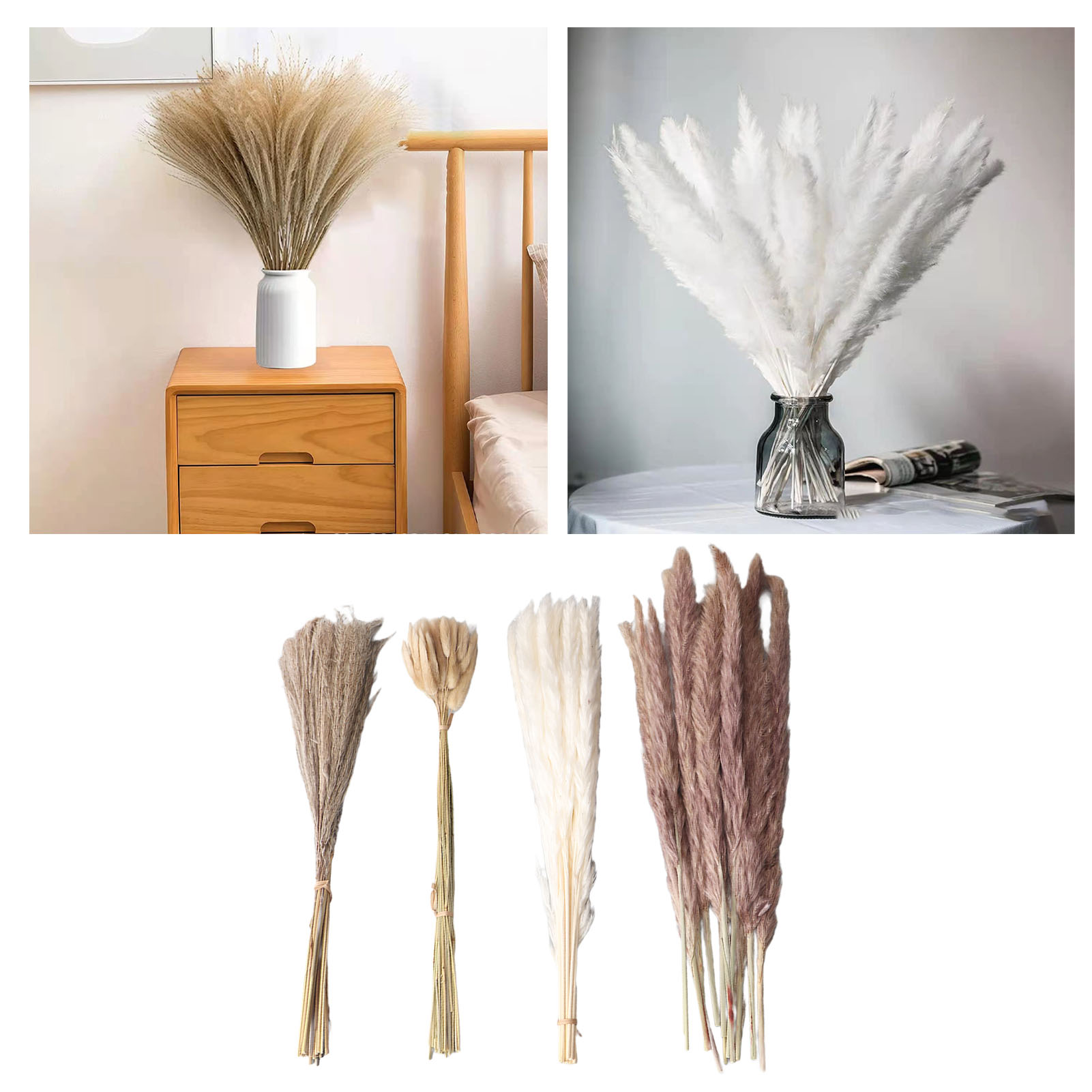 Natural Dried Pampas Grass Flu - Eucalyptus Preserved recensione e prezzo