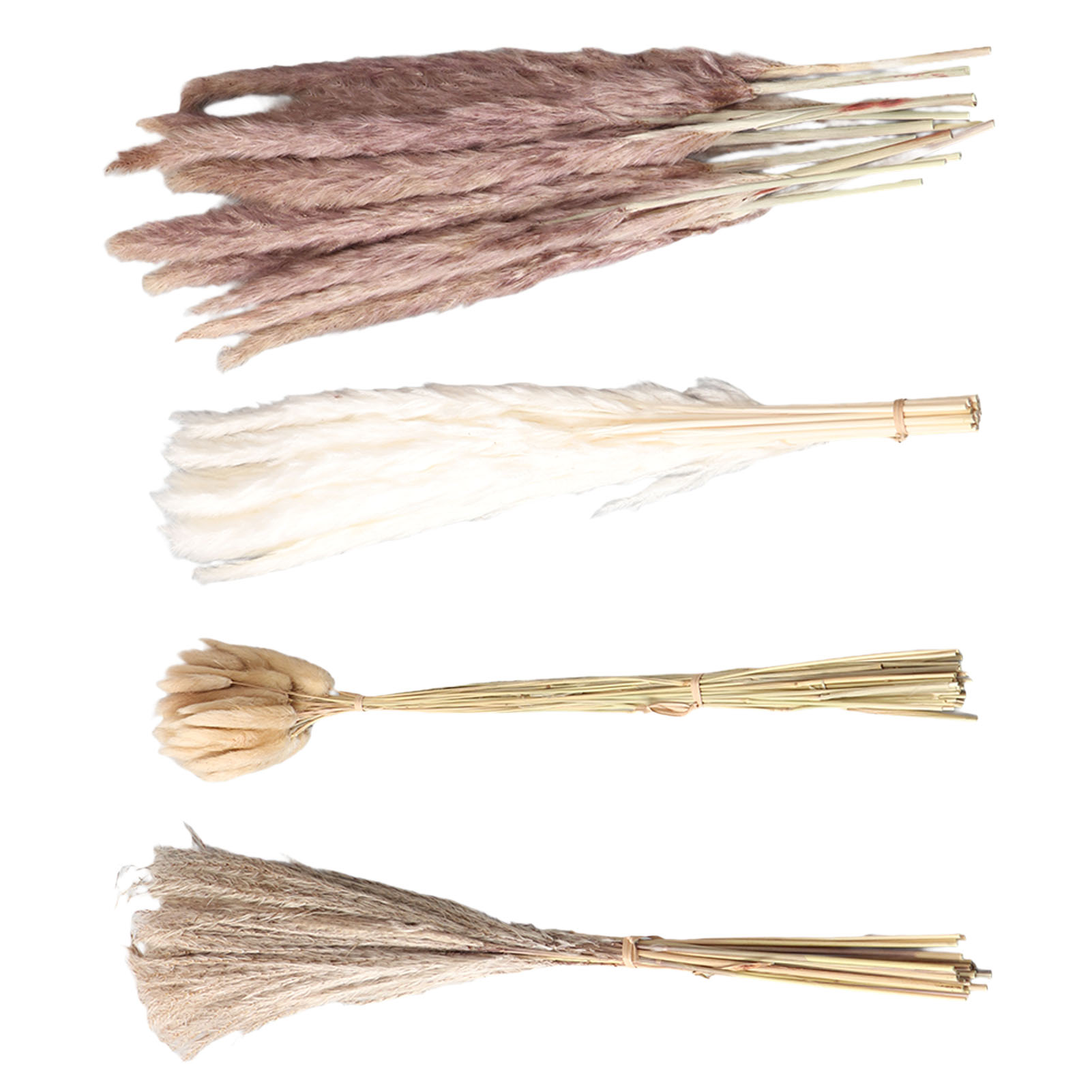 Natural Dried Pampas Grass Flu - Eucalyptus Preserved recensione e prezzo