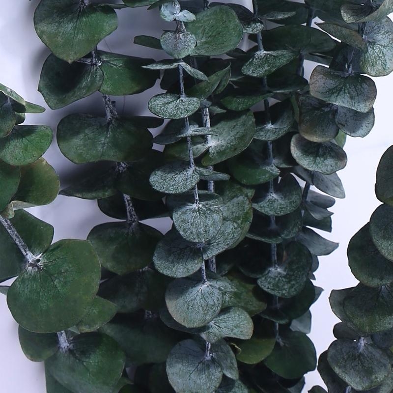 20Pcs Preserved for Fresh Euca - Eucalyptus Preserved recensione e prezzo