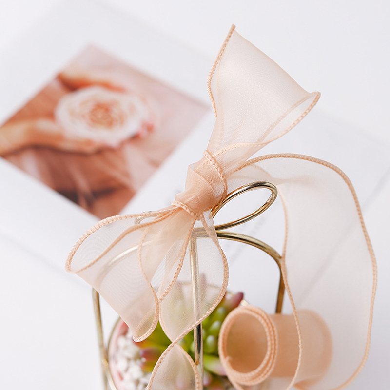 9Meters/Roll Sheer Silk Ribbon - Ribbon Organza Roll recensione e prezzo